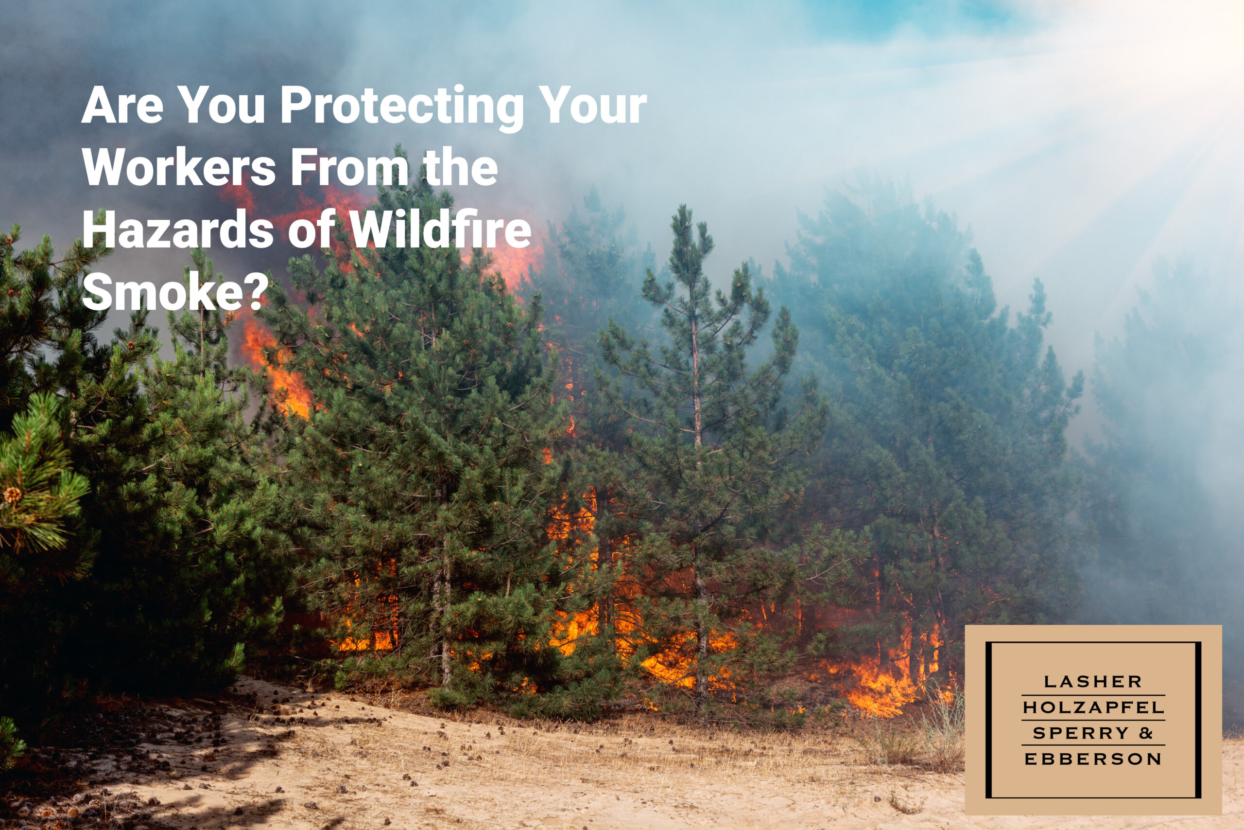 Are You Protecting Your Workers From the Hazards of Wildfire Smoke?