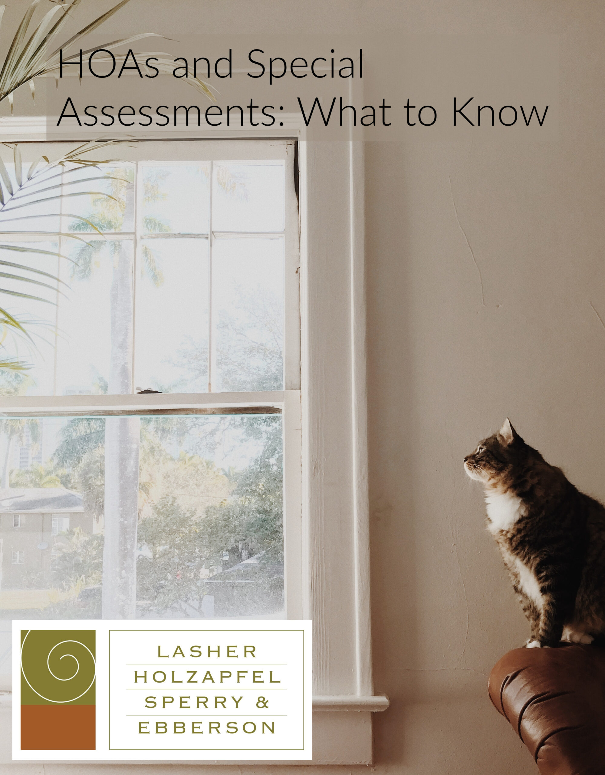 HOAs and Special Assessments: What to Know