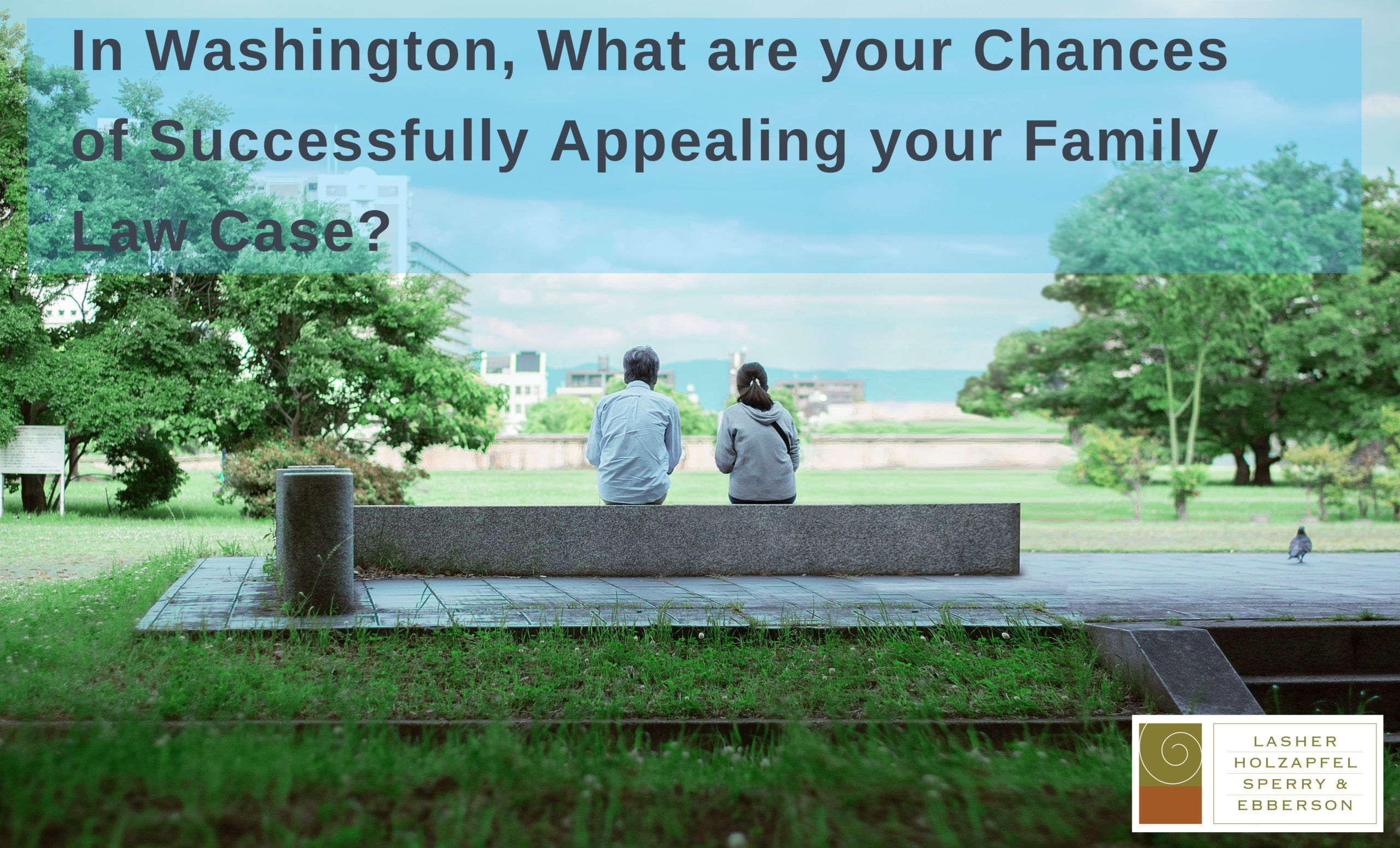 In Washington, What are your Chances of Successfully Appealing your Family Law Case?