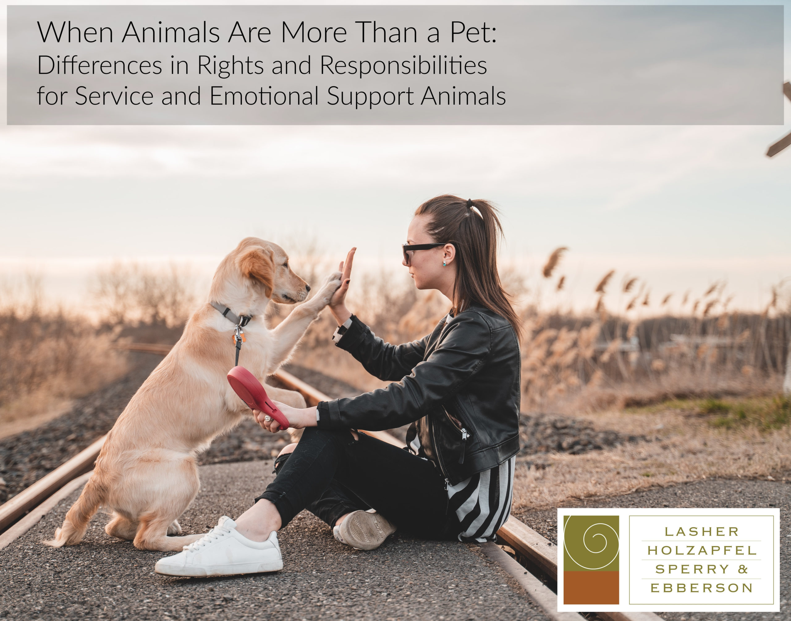 When Animals Are More Than a Pet:  Differences in Rights and Responsibilities for Service and Emotional Support Animals